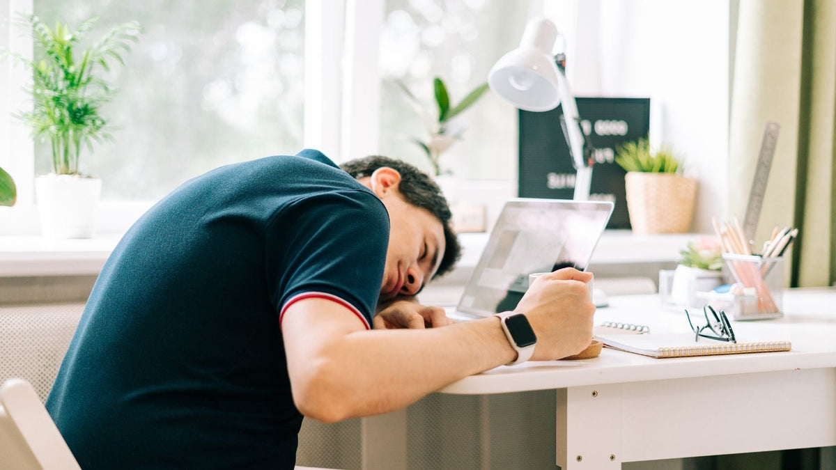 Power Napping: Wie kurze Nickerchen die geistige Leistung steigern