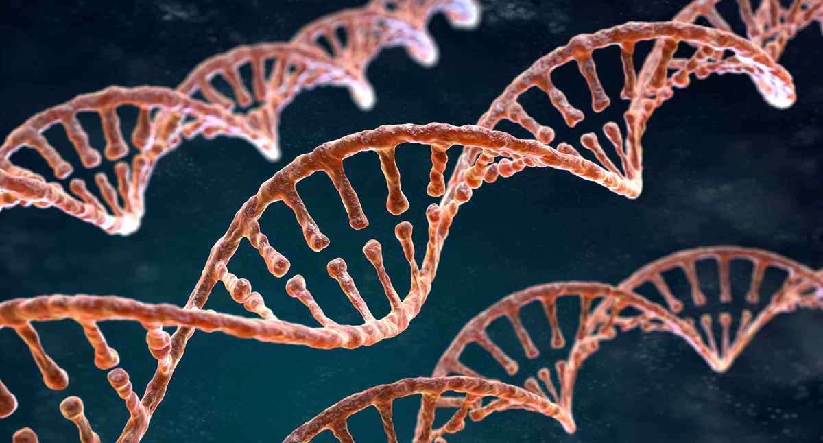 Die Mendelsche Randomisierung nutzt genetische Varianten für kausalere Rückschlüsse.