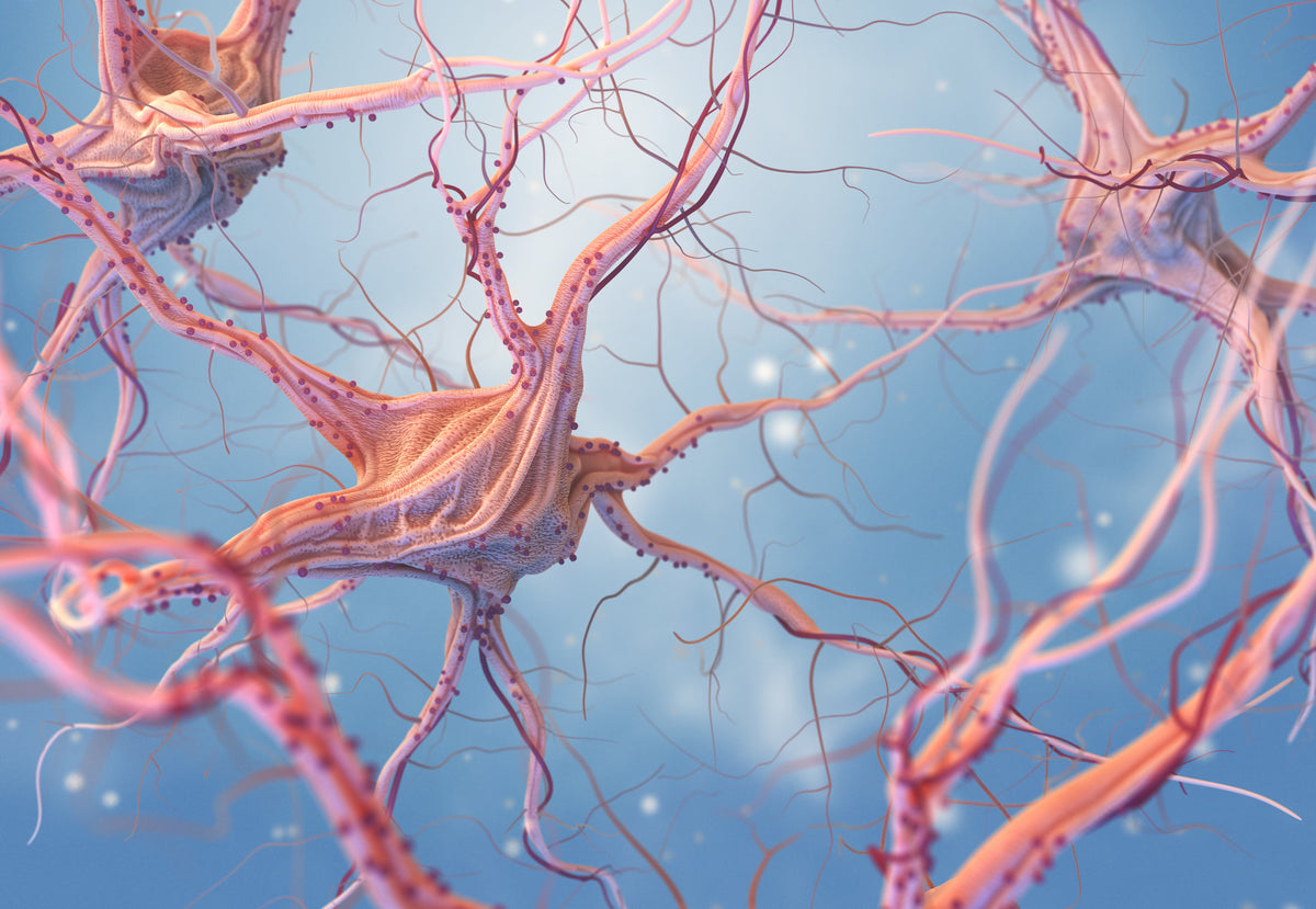 Das Default Mode Network im Gehirn ist bei Grübeln besonders aktiv.