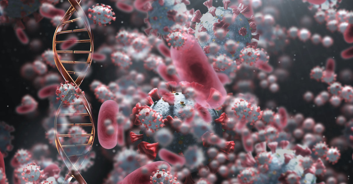 Das Enzym Diaminoxidase baut Histamin normalerweise im Darm ab.