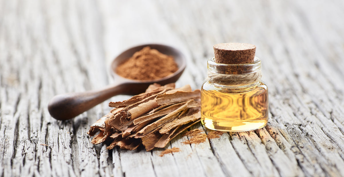 Ashwagandha-Wurzel wird in der ayurvedischen Medizin traditionell zur Stärkung und Beruhigung eingesetzt.