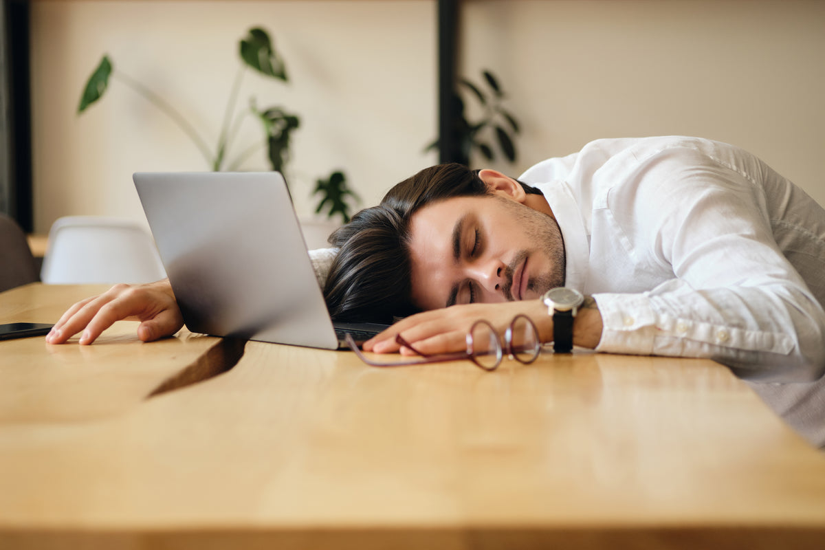 Power Napping: Wie kurze Nickerchen die geistige Leistung steigern