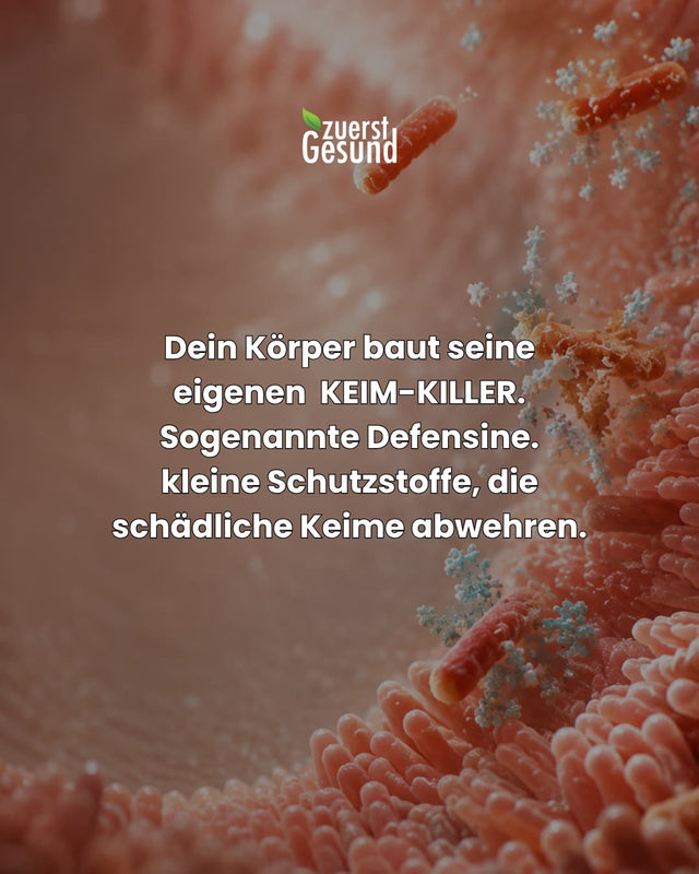 Schale Fruchtjoghurt, Text: Fruchtjoghurt kann mehr Zucker enthalten als Cola